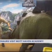 Haven Academy Dinosaurs