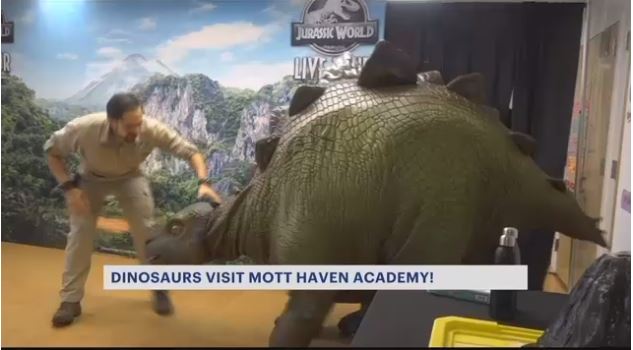 Haven Academy Dinosaurs